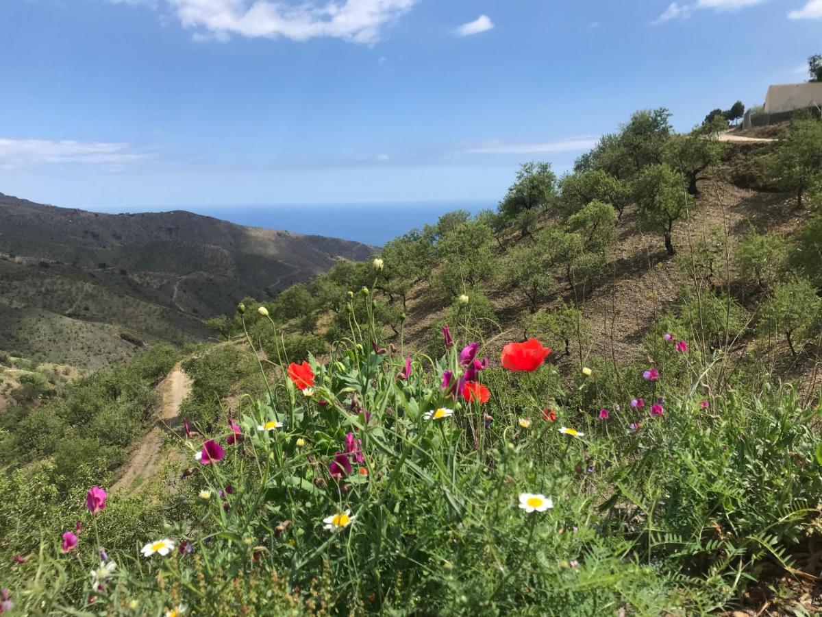 Casa Amigos Sorvilan - La Almendra Kültér fotó
